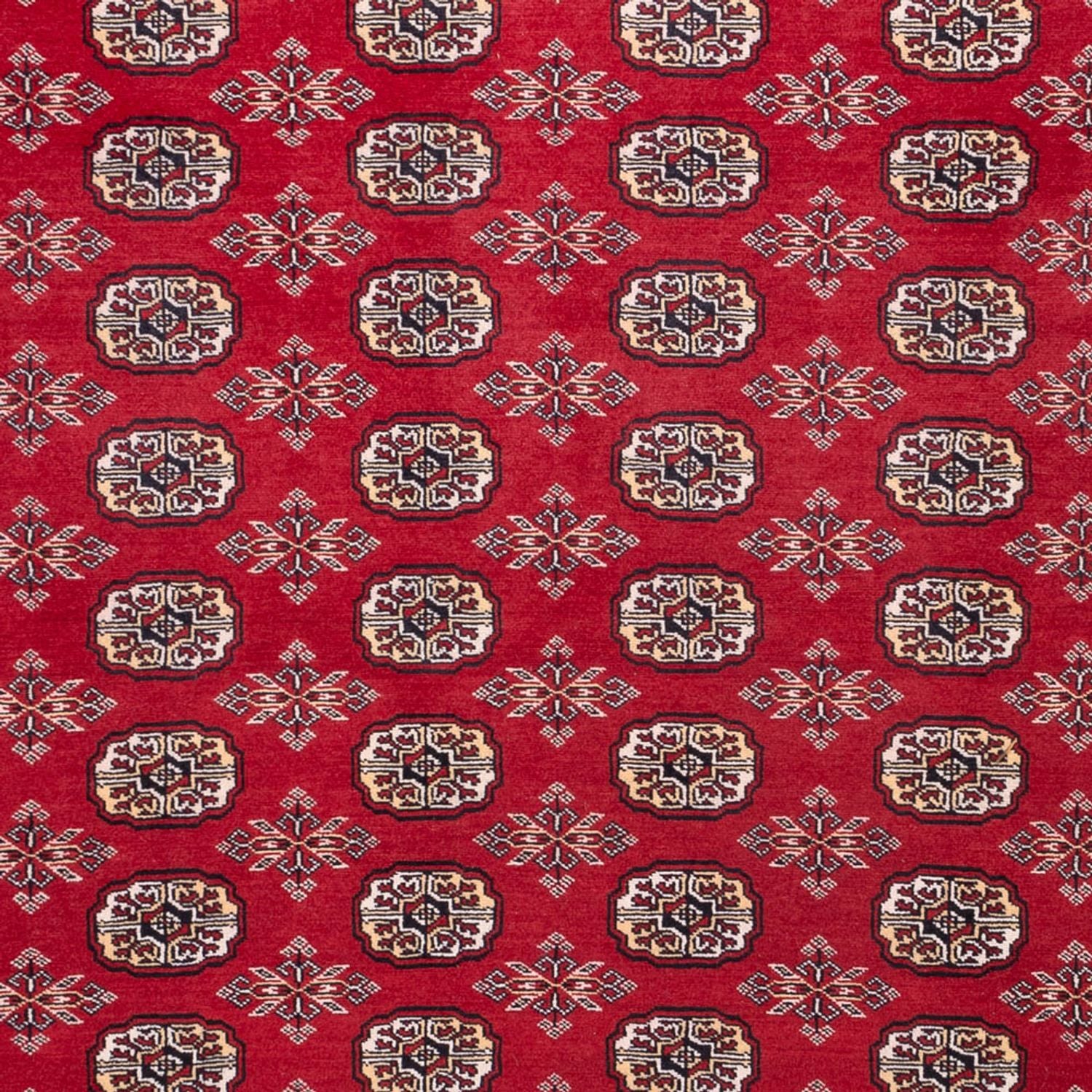 Alfombra afgana - Bukhara - 322 x 248 cm - rojo