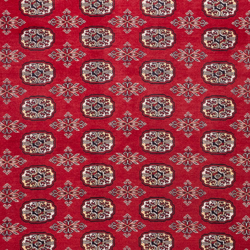 Alfombra afgana - Bukhara - 322 x 248 cm - rojo