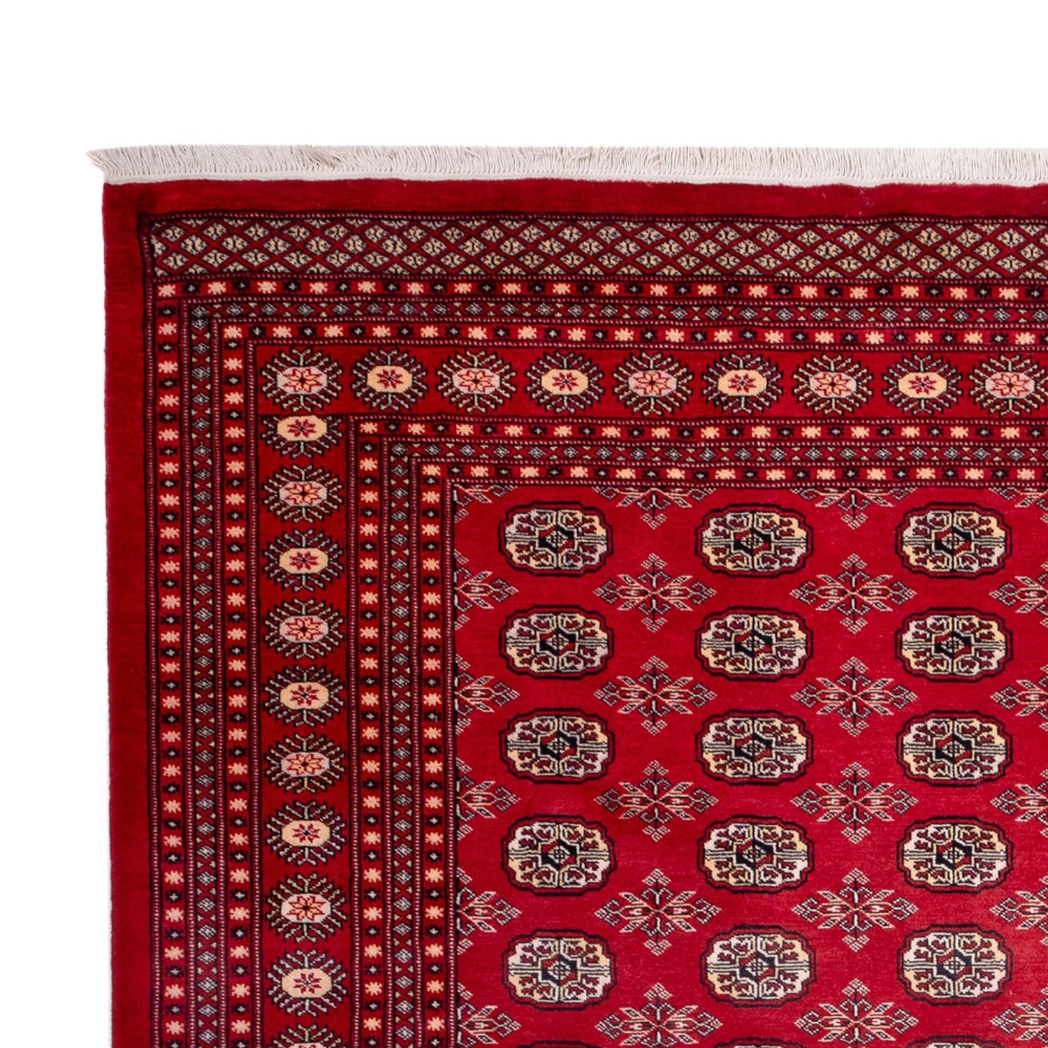 Alfombra afgana - Bukhara - 322 x 248 cm - rojo