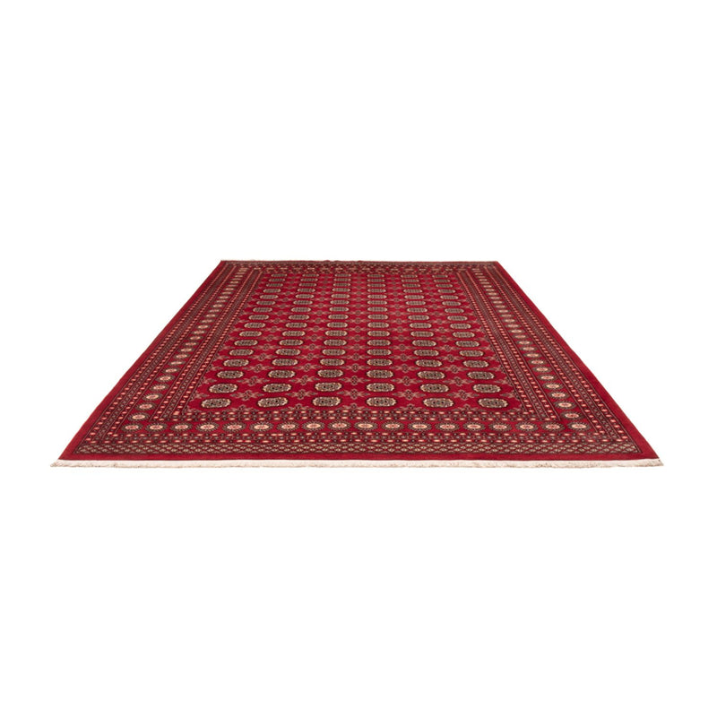 Alfombra afgana - Bukhara - 322 x 248 cm - rojo
