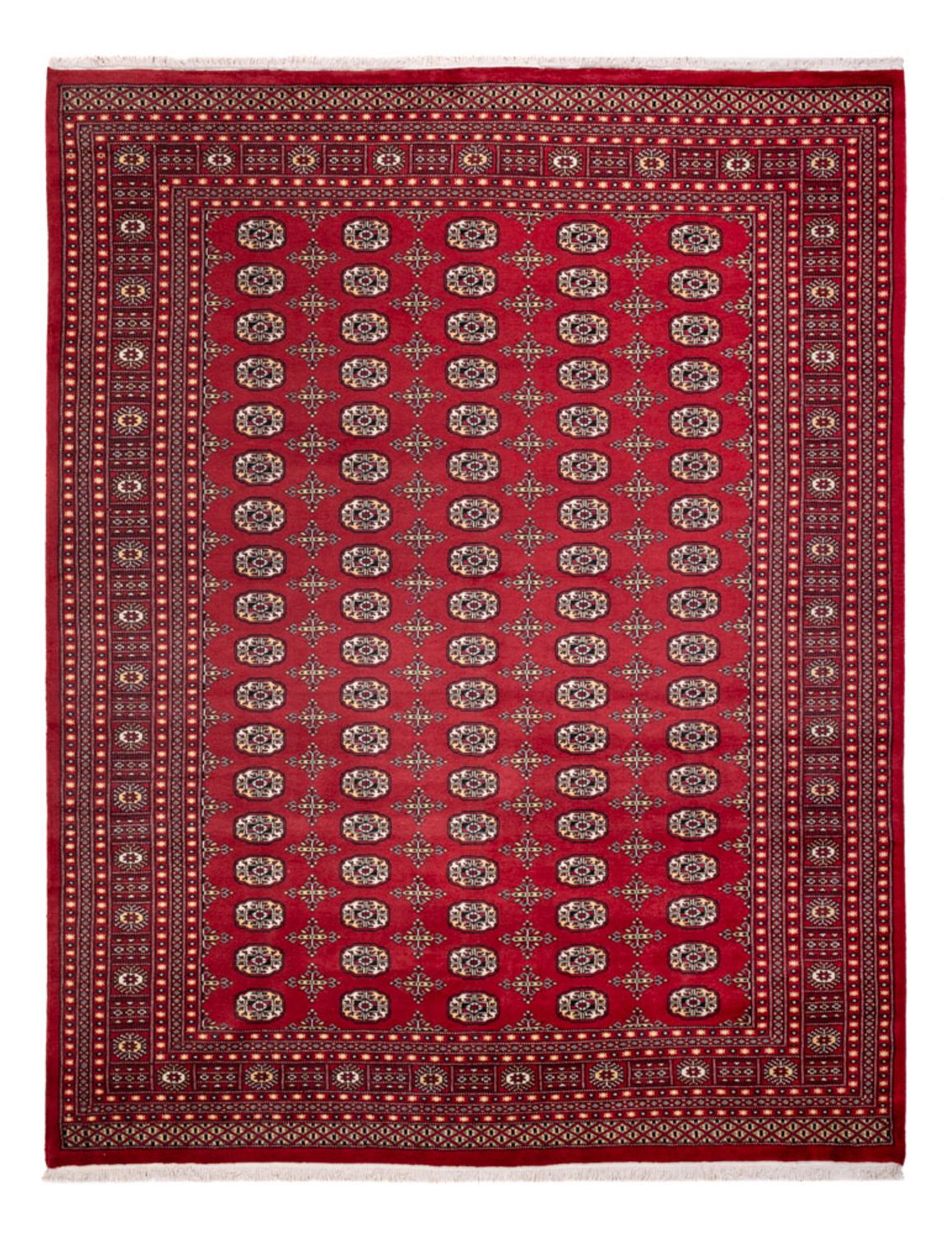 Alfombra afgana - Bukhara - 312 x 245 cm - rojo