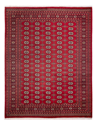 Alfombra afgana - Bukhara - 312 x 245 cm - rojo