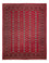 Alfombra afgana - Bukhara - 312 x 245 cm - rojo