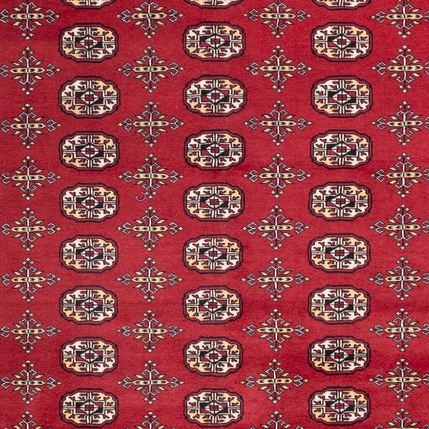 Alfombra afgana - Bukhara - 312 x 245 cm - rojo