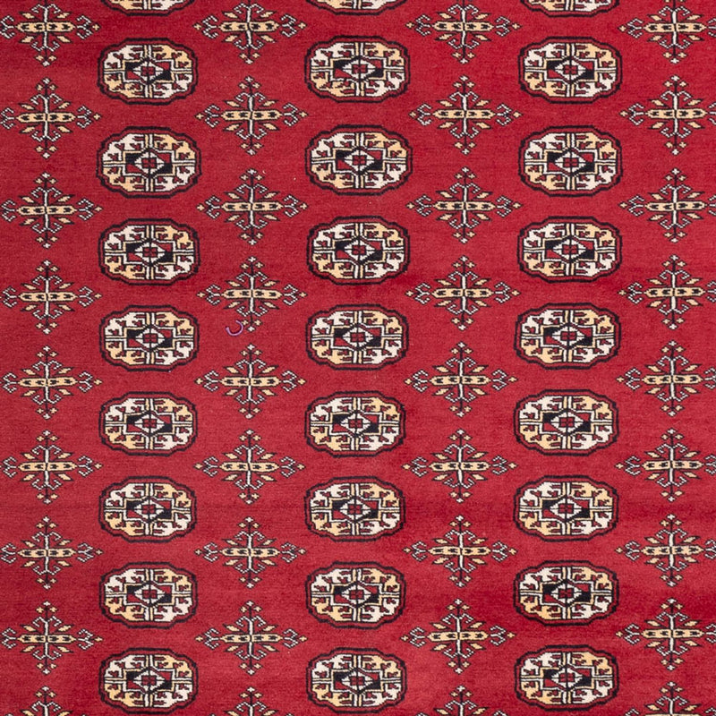 Alfombra afgana - Bukhara - 312 x 245 cm - rojo