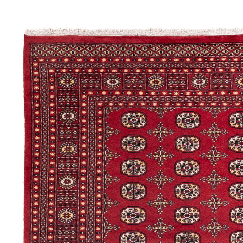 Alfombra afgana - Bukhara - 312 x 245 cm - rojo