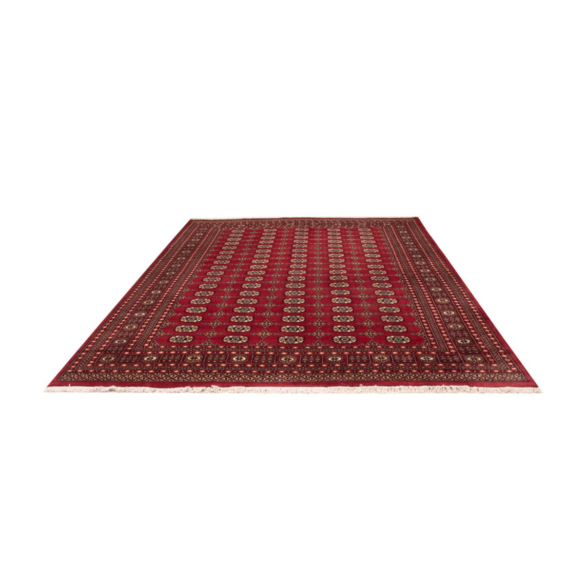 Alfombra afgana - Bukhara - 312 x 245 cm - rojo