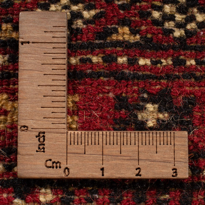 Alfombra afgana - Bukhara - 312 x 245 cm - rojo