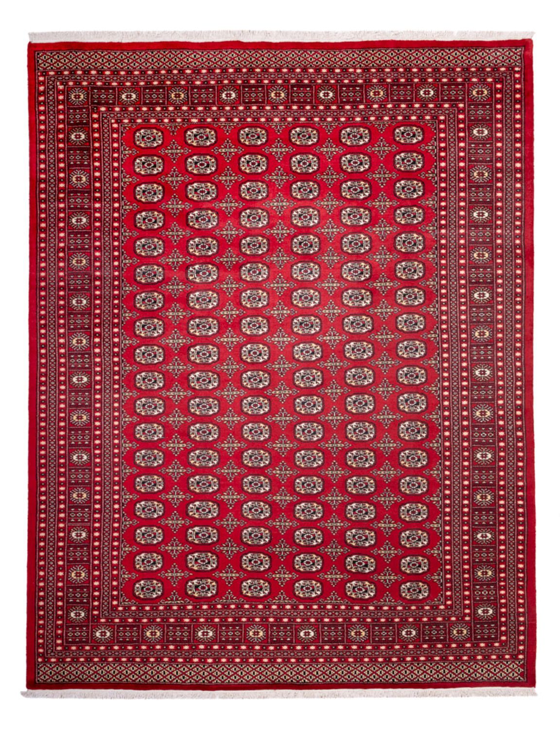 Alfombra afgana - Bukhara - 311 x 243 cm - rojo
