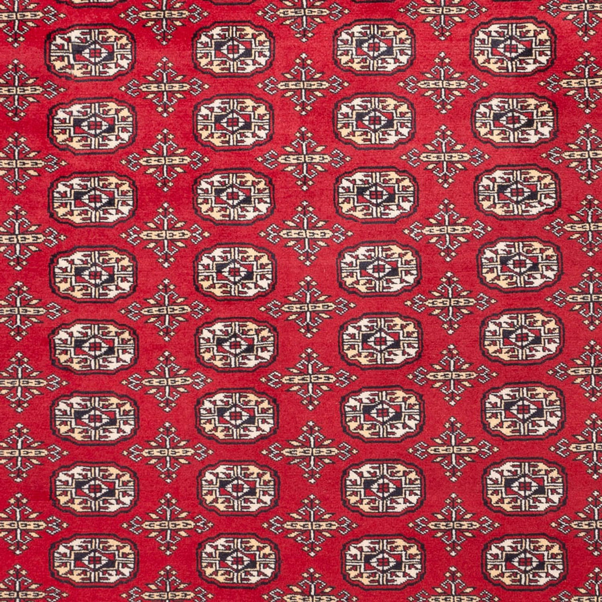 Alfombra afgana - Bukhara - 311 x 243 cm - rojo