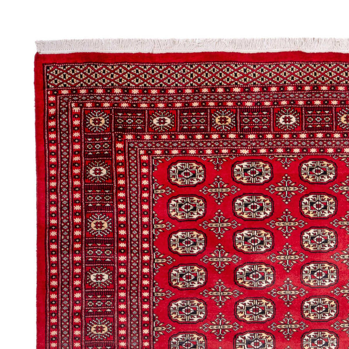 Alfombra afgana - Bukhara - 311 x 243 cm - rojo
