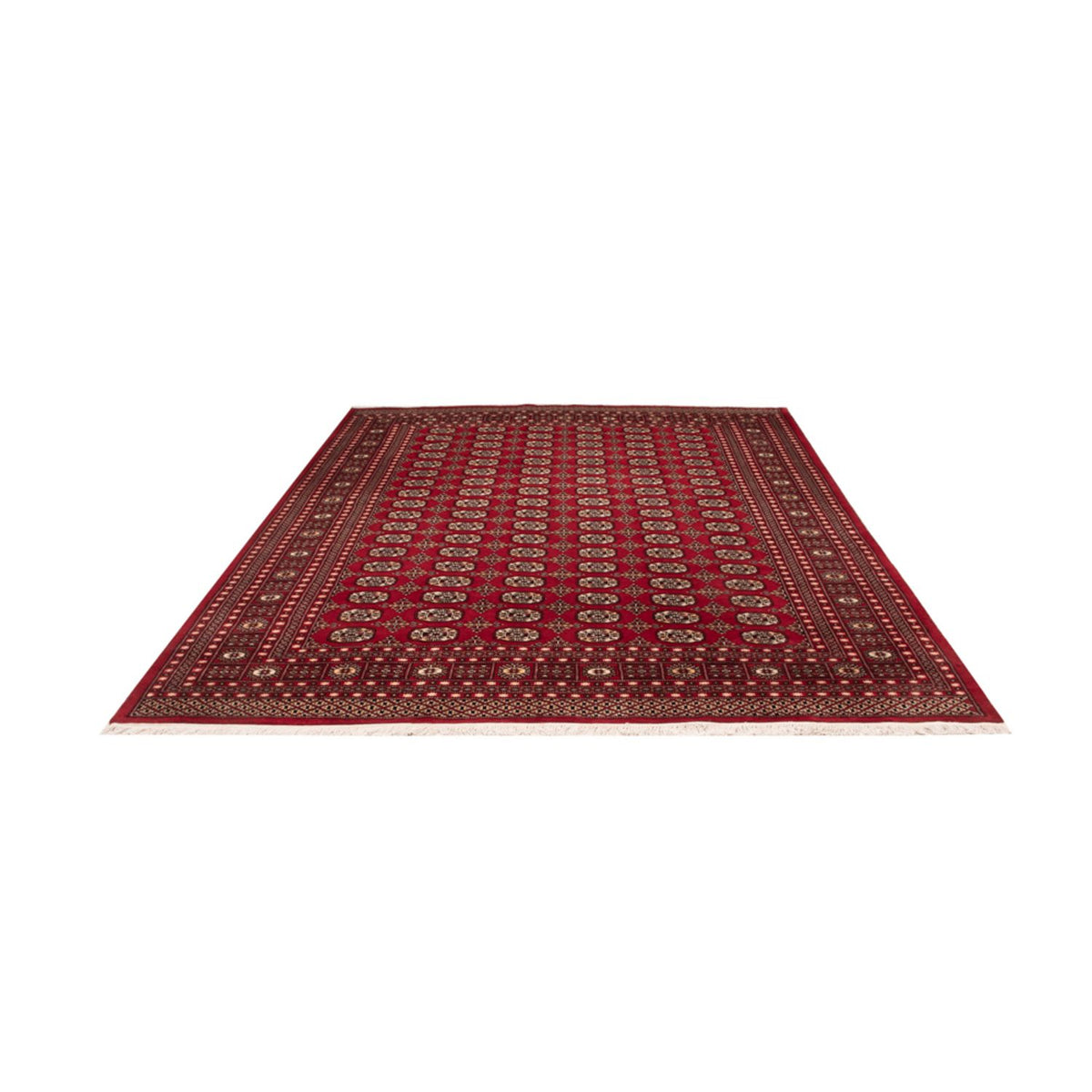 Alfombra afgana - Bukhara - 311 x 243 cm - rojo