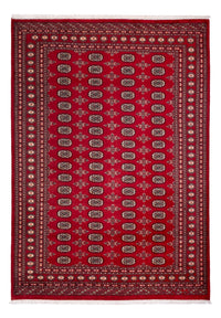 Alfombra afgana - Bukhara - 297 x 213 cm - rojo