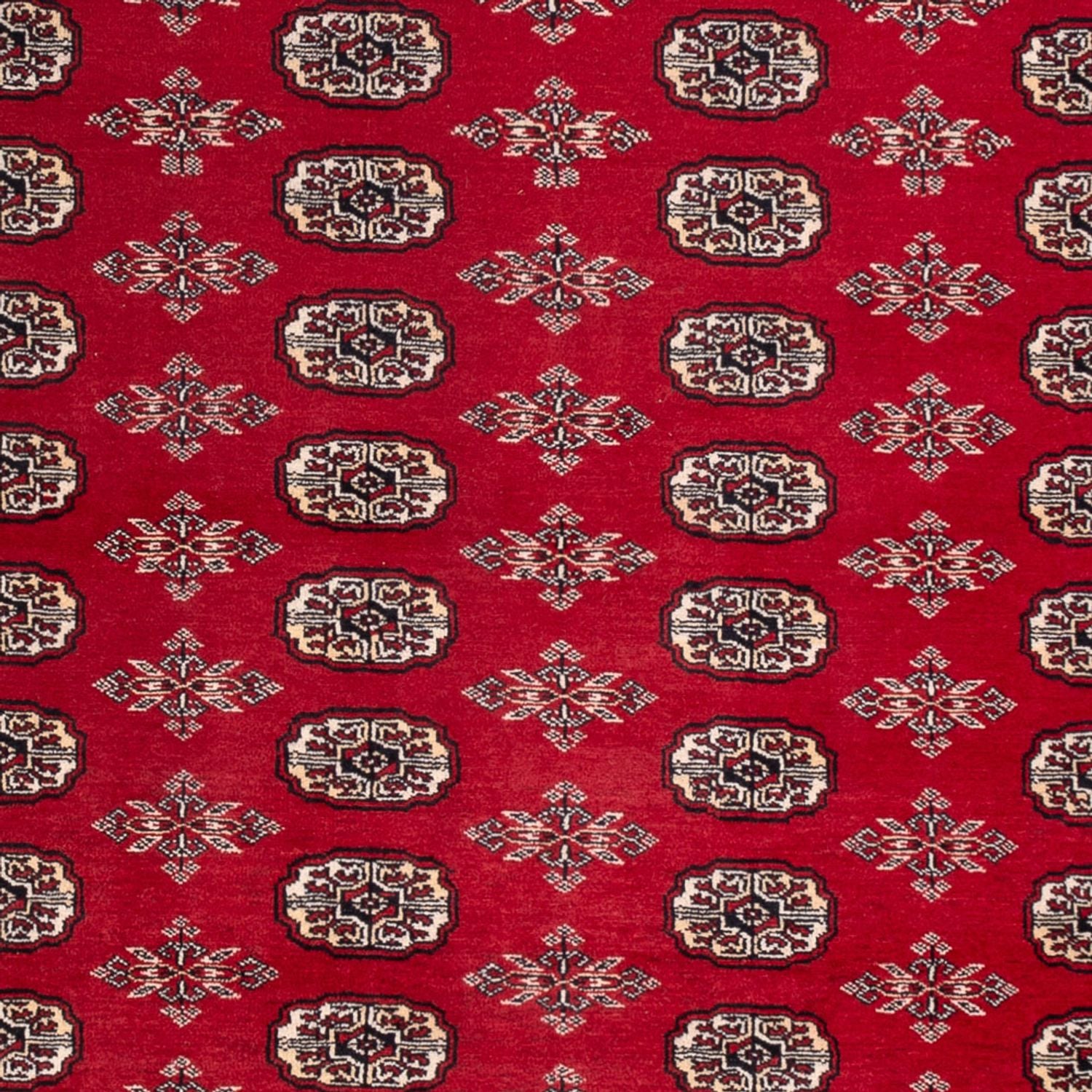 Alfombra afgana - Bukhara - 297 x 213 cm - rojo