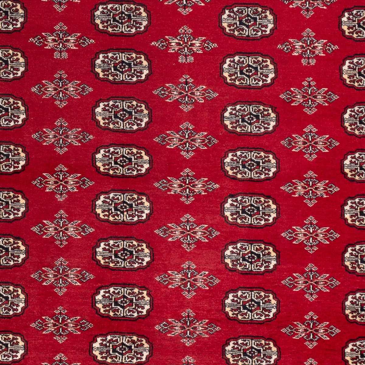 Alfombra afgana - Bukhara - 297 x 213 cm - rojo
