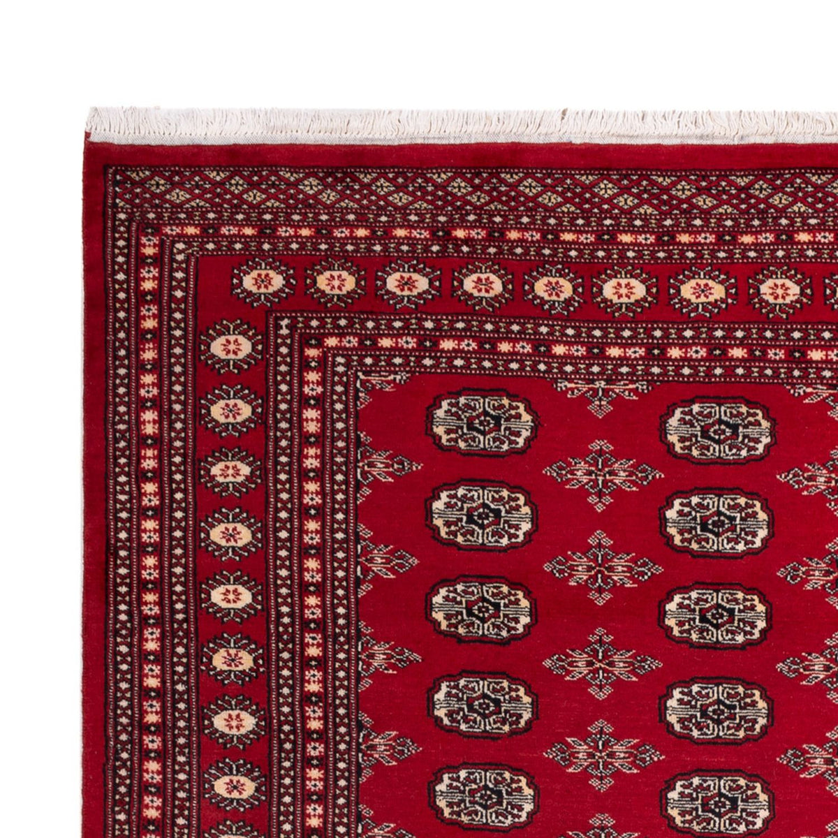 Alfombra afgana - Bukhara - 297 x 213 cm - rojo