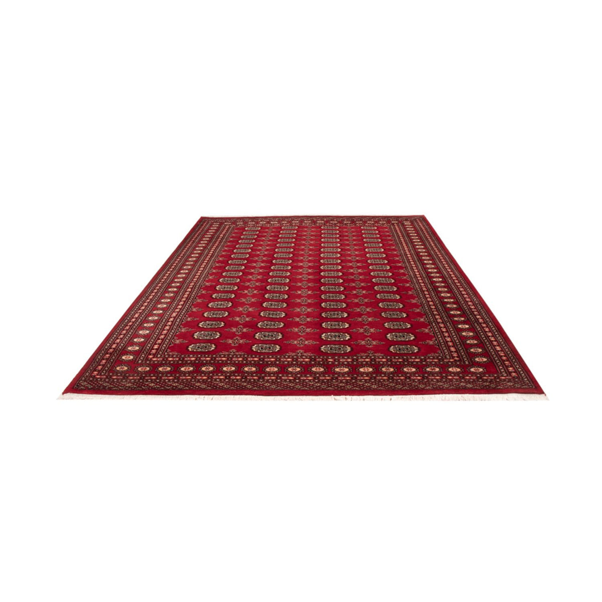 Alfombra afgana - Bukhara - 297 x 213 cm - rojo