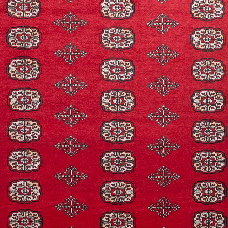 Alfombra afgana - Bukhara - 306 x 197 cm - rojo