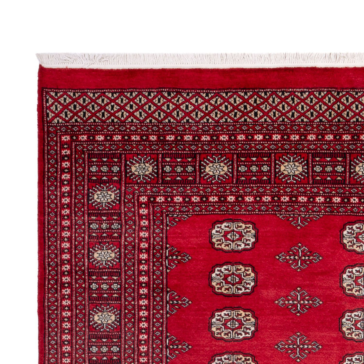 Alfombra afgana - Bukhara - 306 x 197 cm - rojo