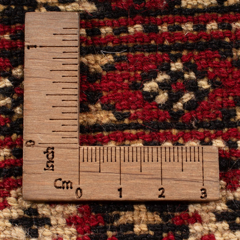 Alfombra afgana - Bukhara - 306 x 197 cm - rojo