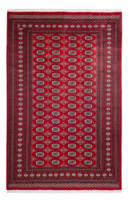 Alfombra afgana - Bukhara - 302 x 199 cm - rojo