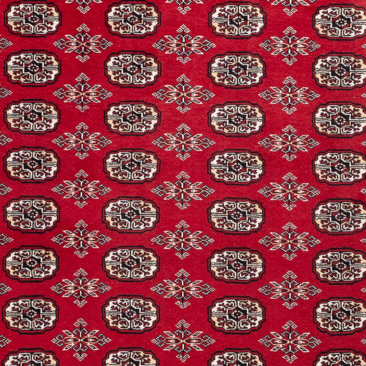 Alfombra afgana - Bukhara - 302 x 199 cm - rojo