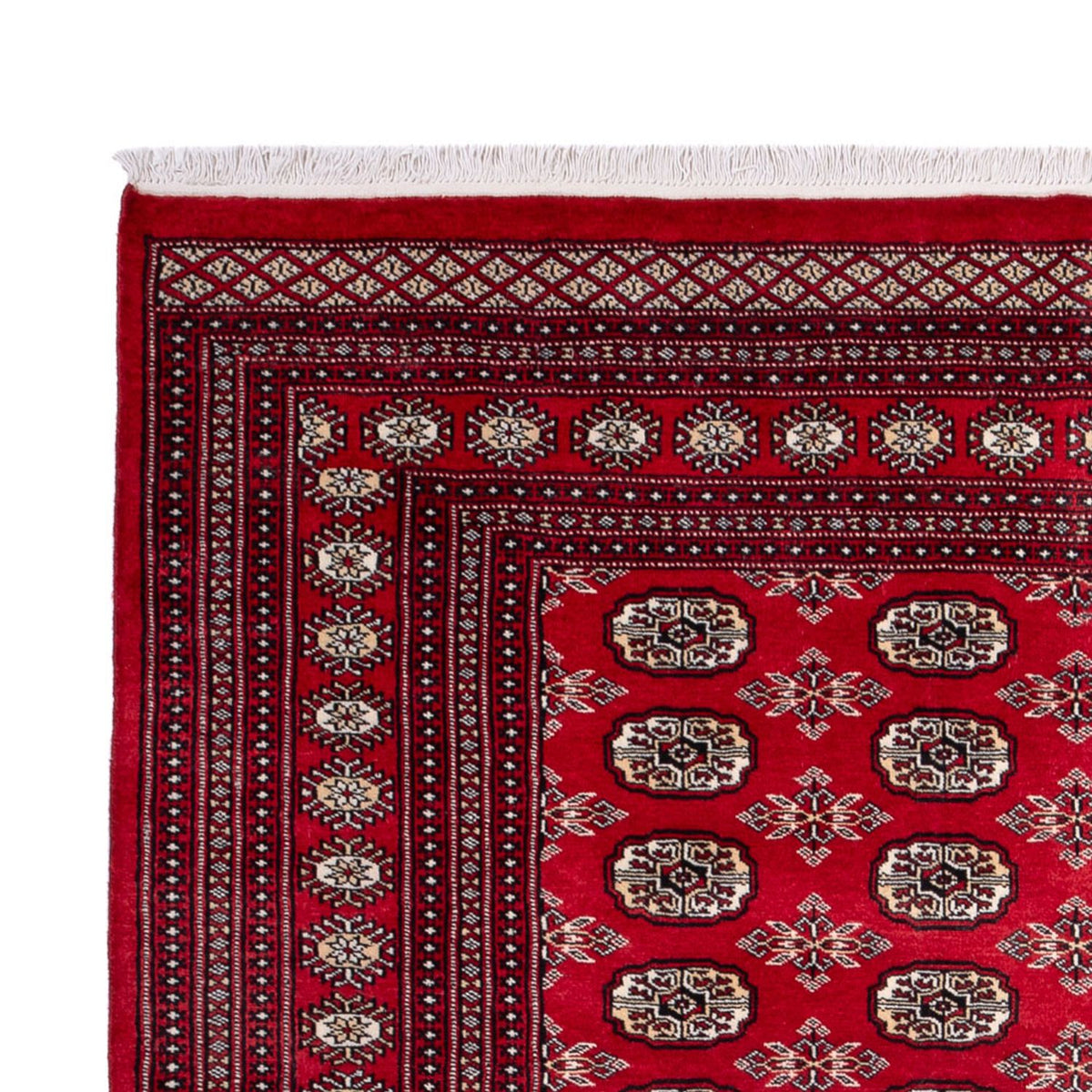 Alfombra afgana - Bukhara - 302 x 199 cm - rojo