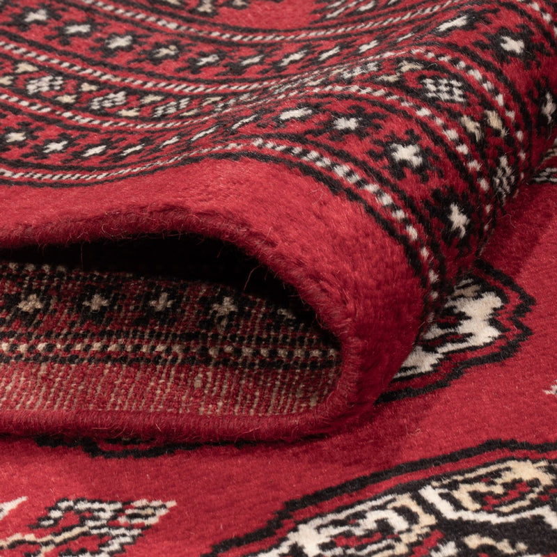 Alfombra afgana - Bukhara - 302 x 199 cm - rojo
