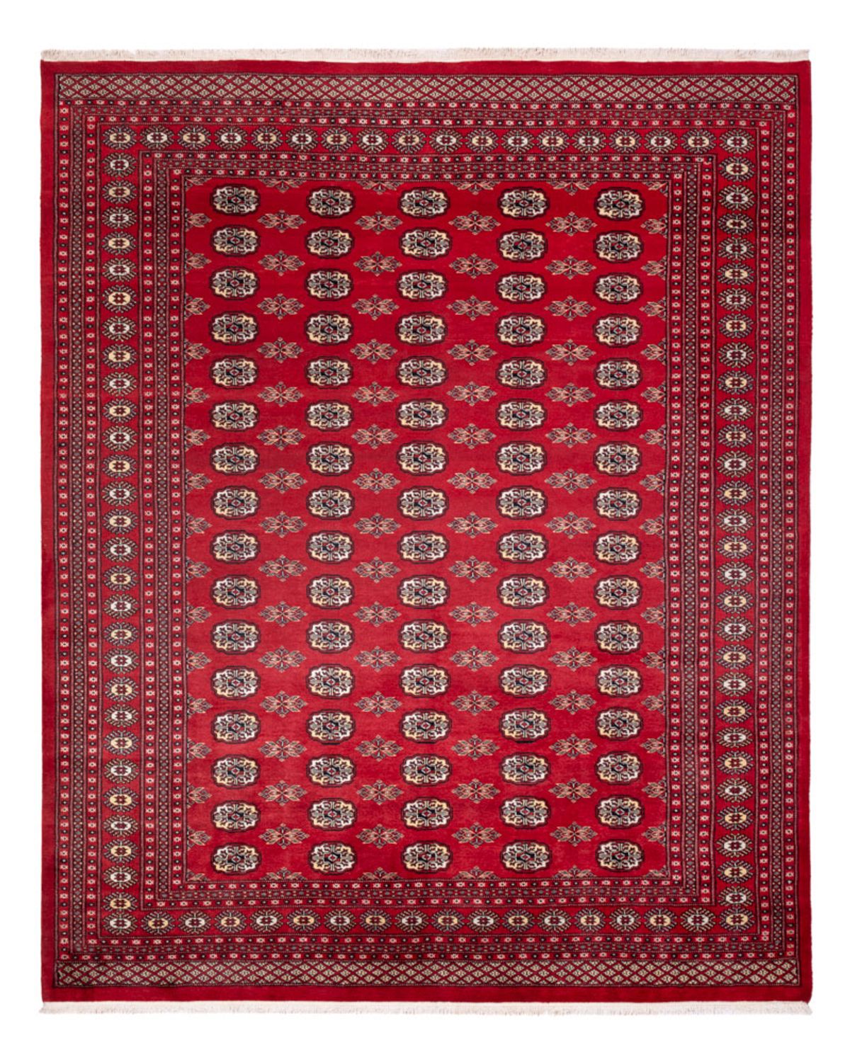 Alfombra afgana - Bukhara - 307 x 247 cm - rojo
