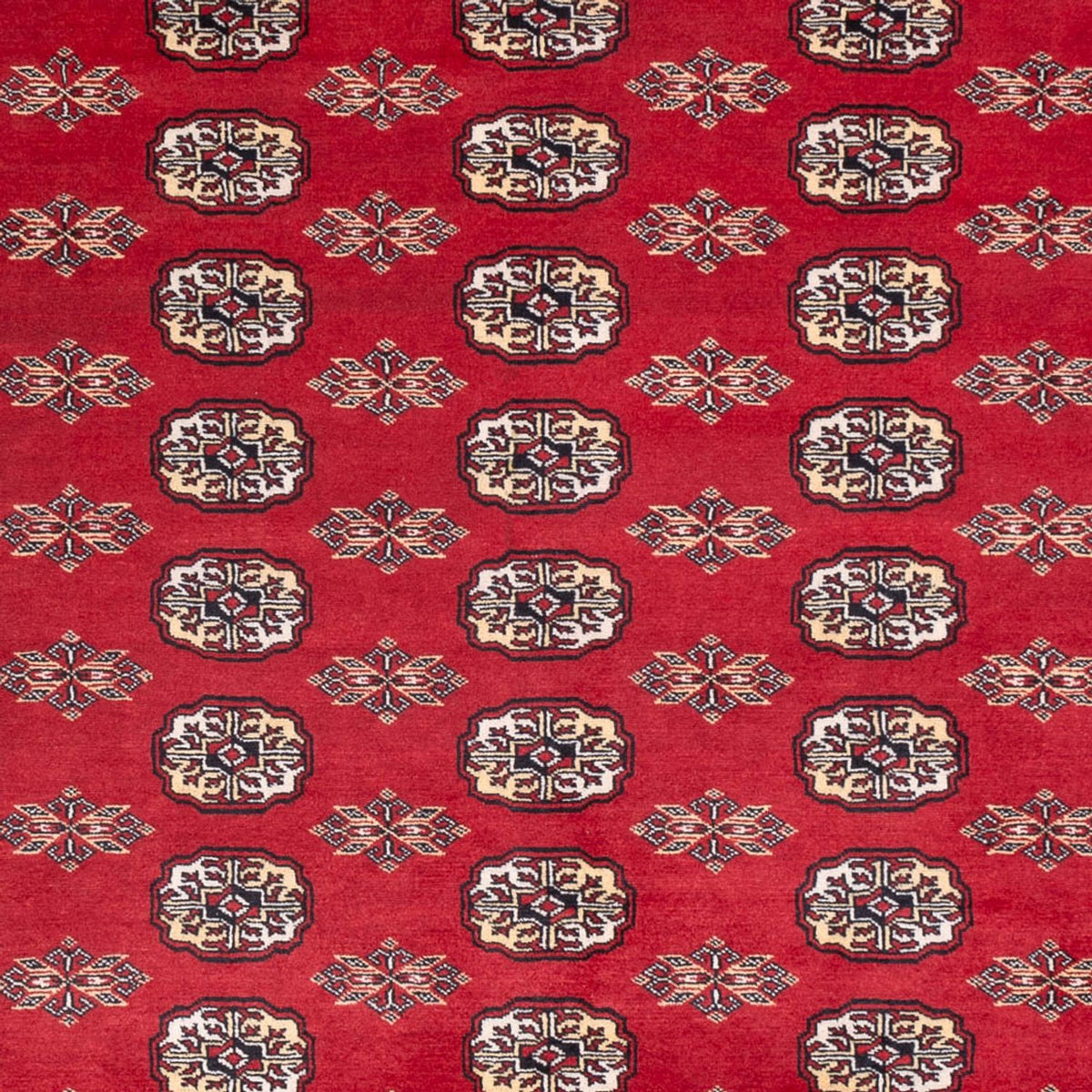 Alfombra afgana - Bukhara - 307 x 247 cm - rojo