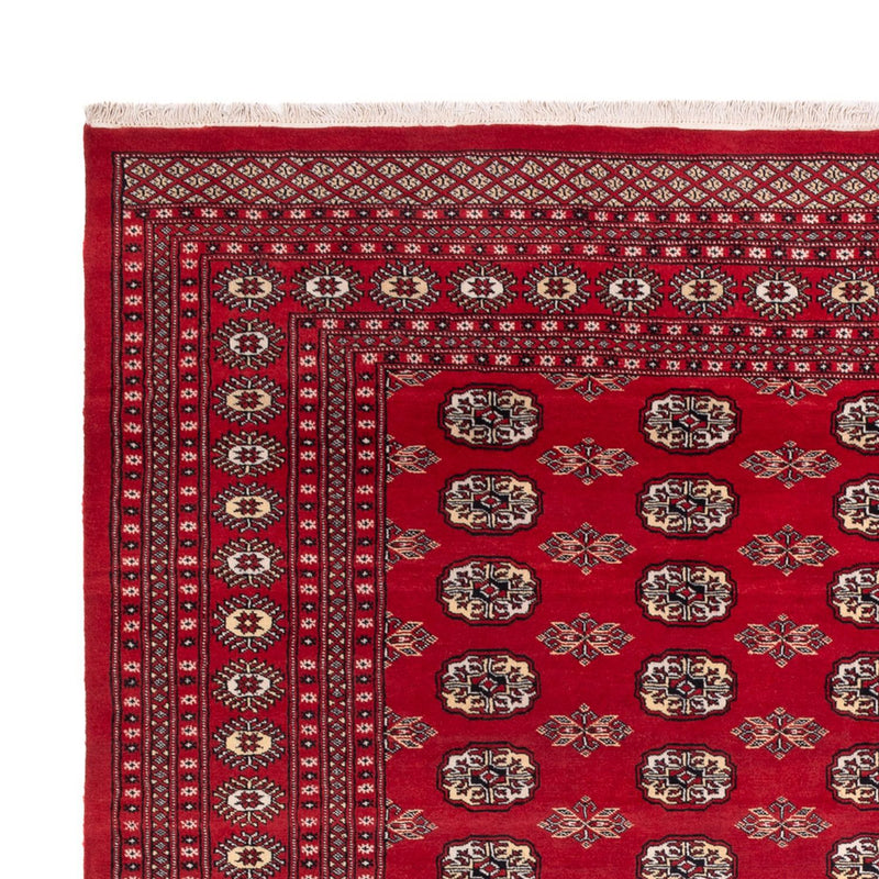 Alfombra afgana - Bukhara - 307 x 247 cm - rojo