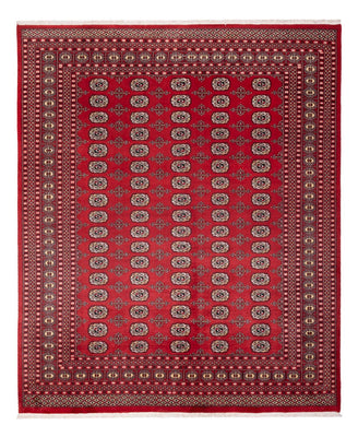 Alfombra afgana - Bukhara - 298 x 243 cm - rojo