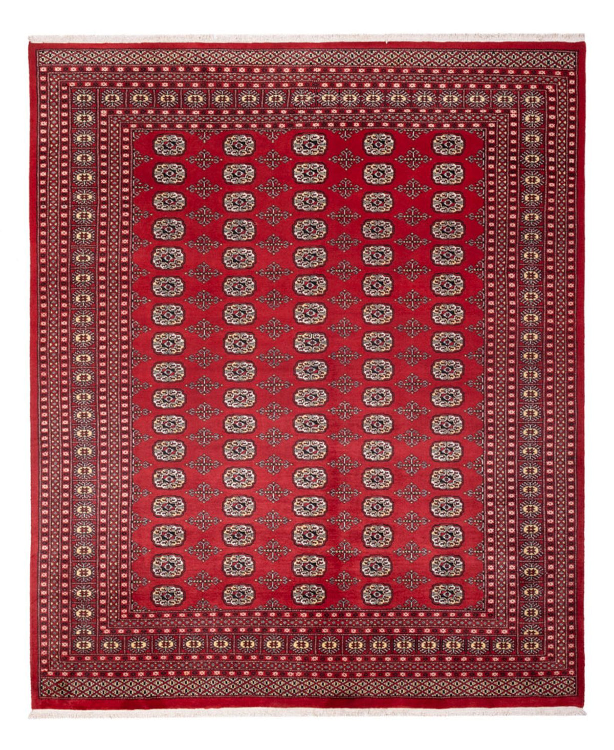 Alfombra afgana - Bukhara - 298 x 243 cm - rojo