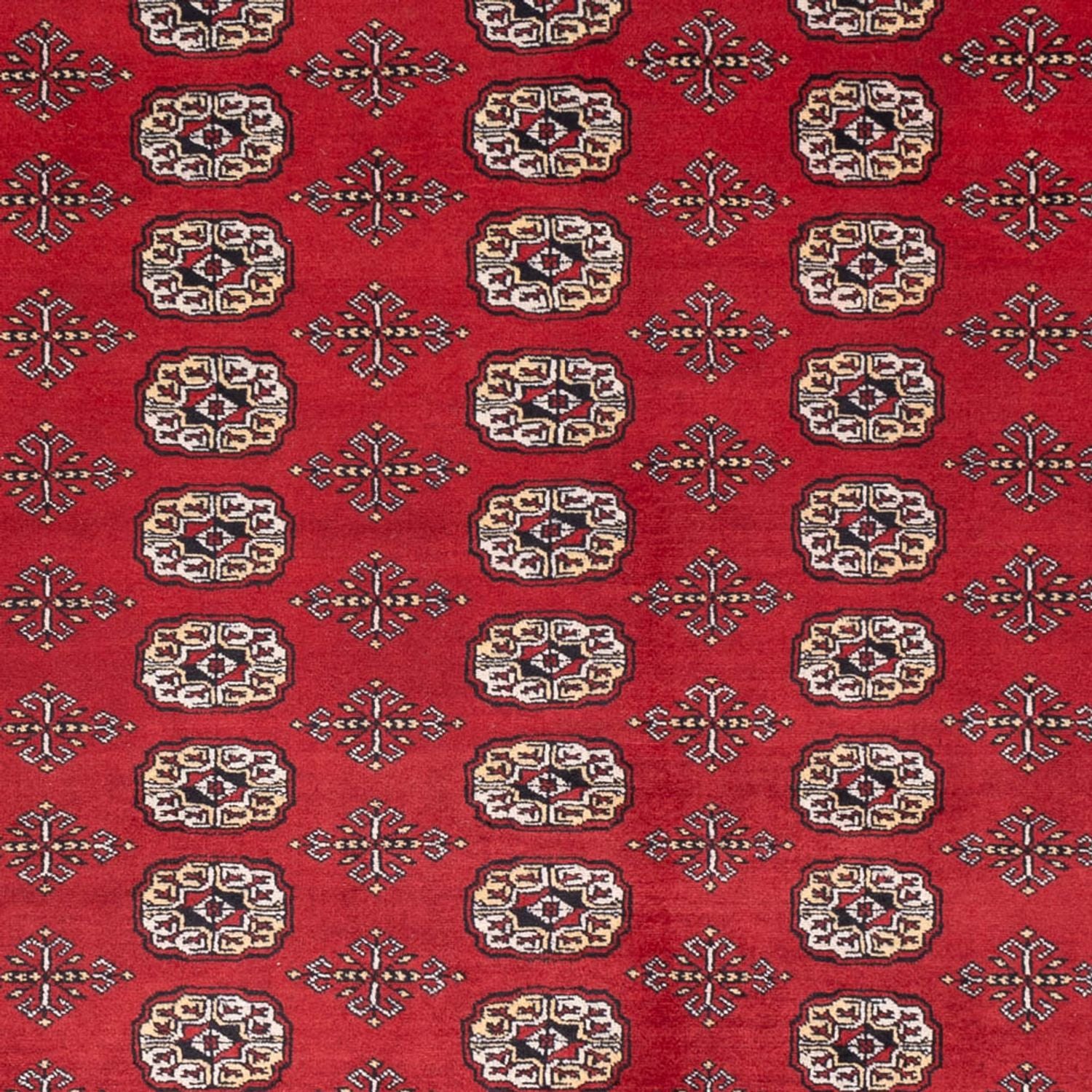 Alfombra afgana - Bukhara - 298 x 243 cm - rojo