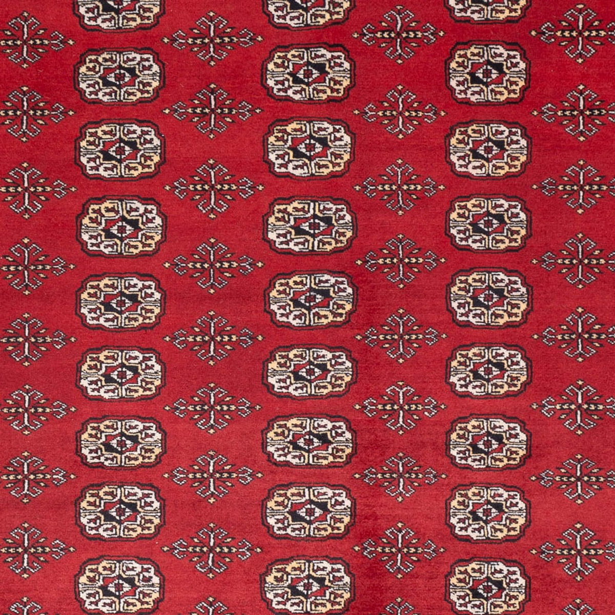 Alfombra afgana - Bukhara - 298 x 243 cm - rojo