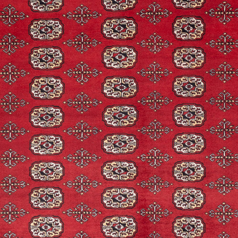 Alfombra afgana - Bukhara - 298 x 243 cm - rojo