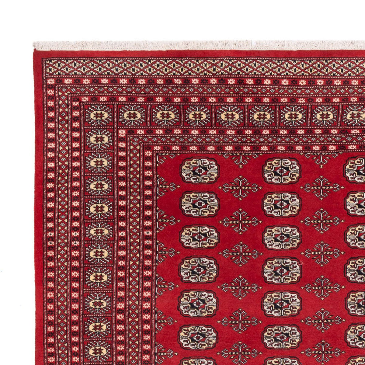 Alfombra afgana - Bukhara - 298 x 243 cm - rojo