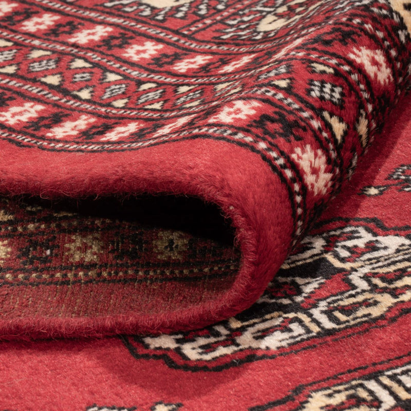 Alfombra afgana - Bukhara - 298 x 243 cm - rojo