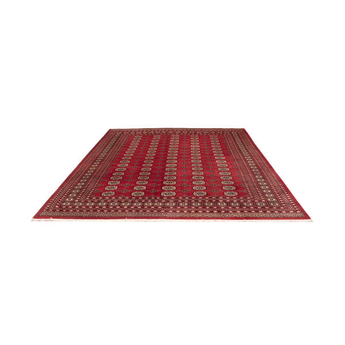 Alfombra afgana - Bukhara - 298 x 243 cm - rojo