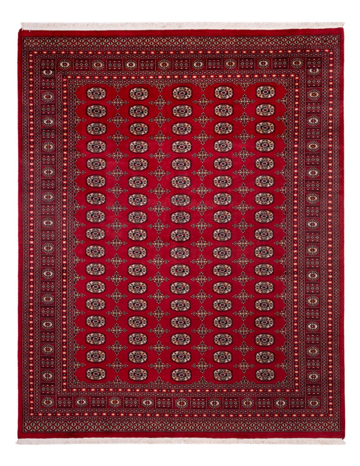 Alfombra afgana - Bukhara - 308 x 243 cm - rojo