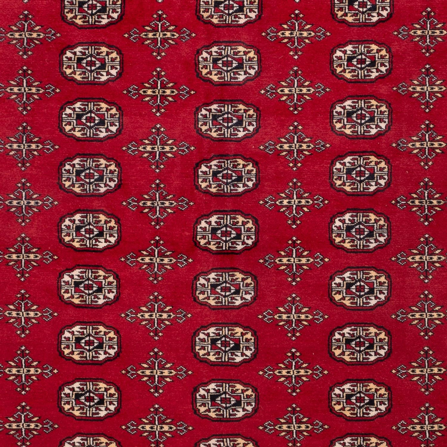 Alfombra afgana - Bukhara - 308 x 243 cm - rojo