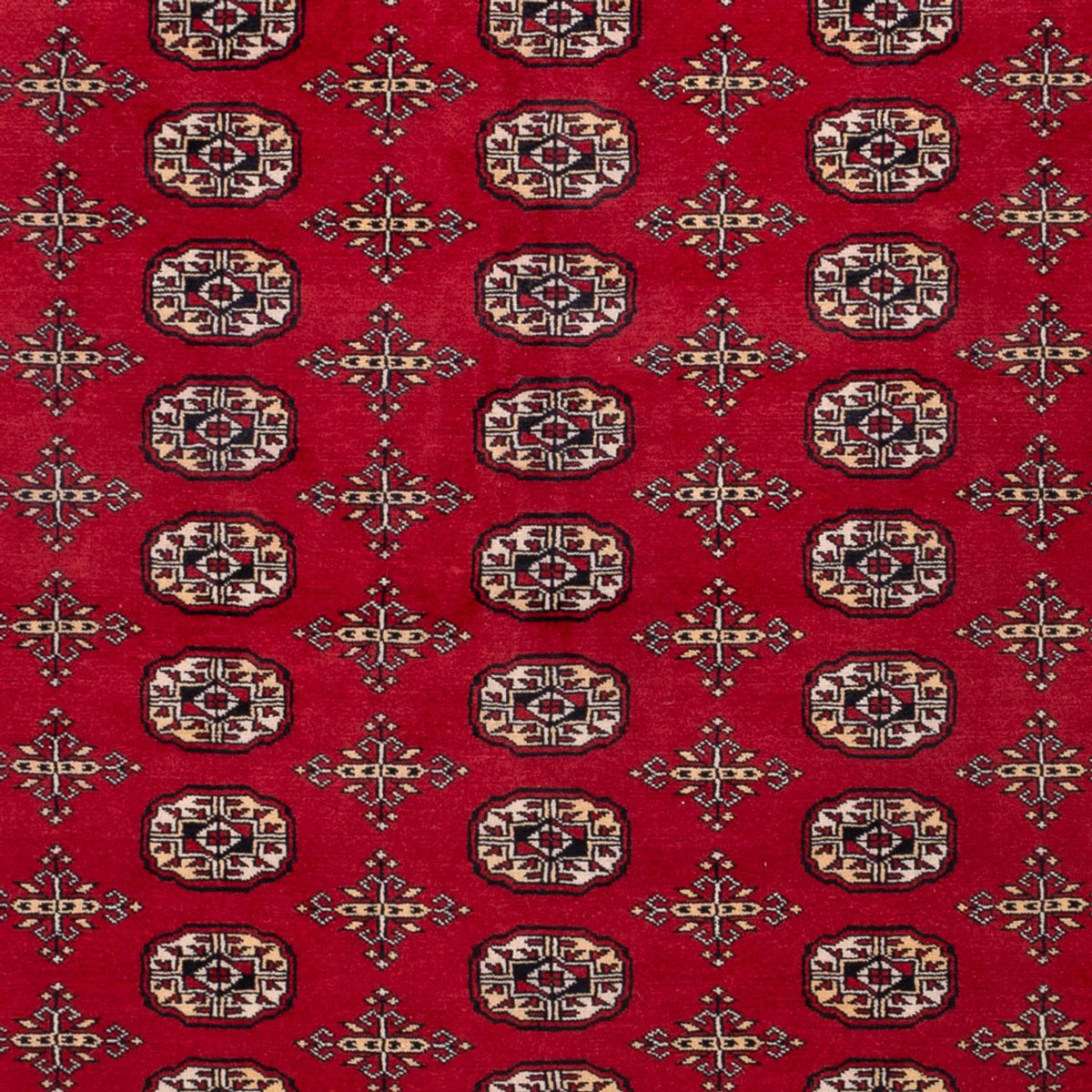Alfombra afgana - Bukhara - 308 x 243 cm - rojo