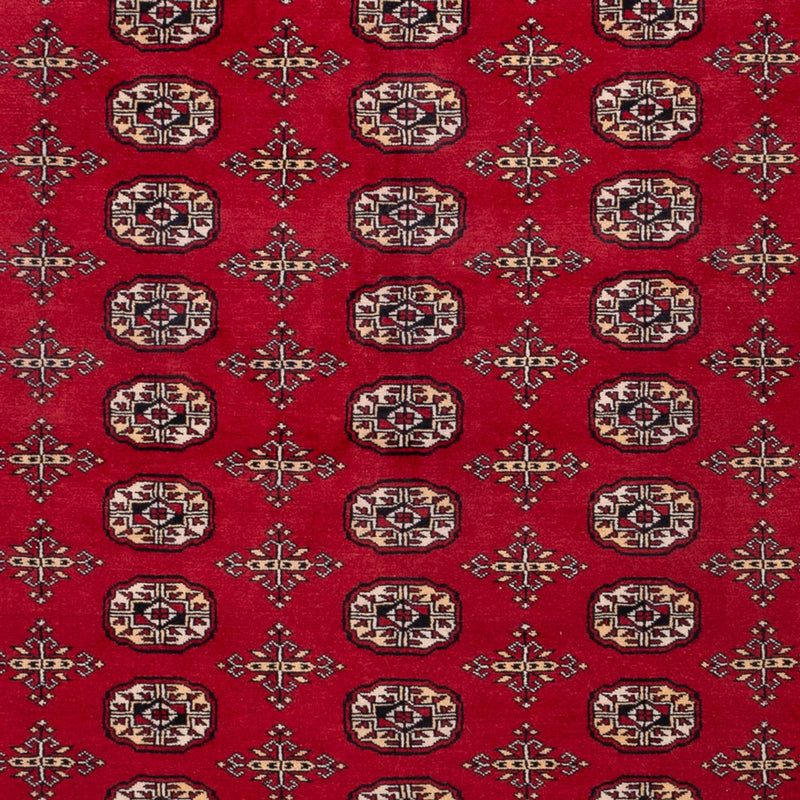 Alfombra afgana - Bukhara - 308 x 243 cm - rojo