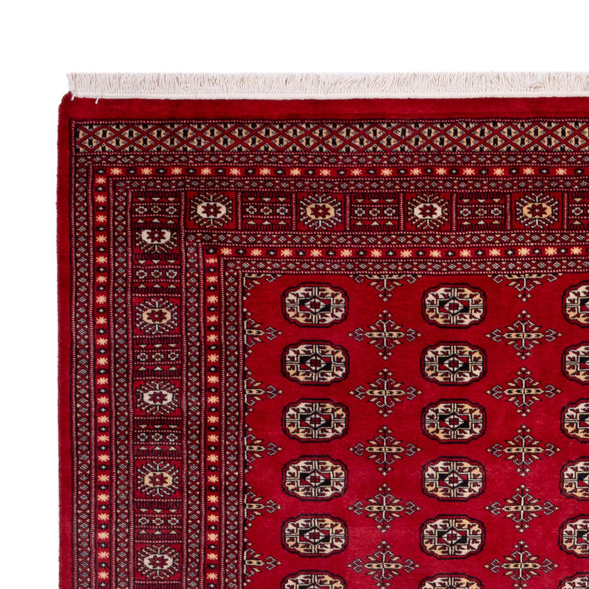 Alfombra afgana - Bukhara - 308 x 243 cm - rojo