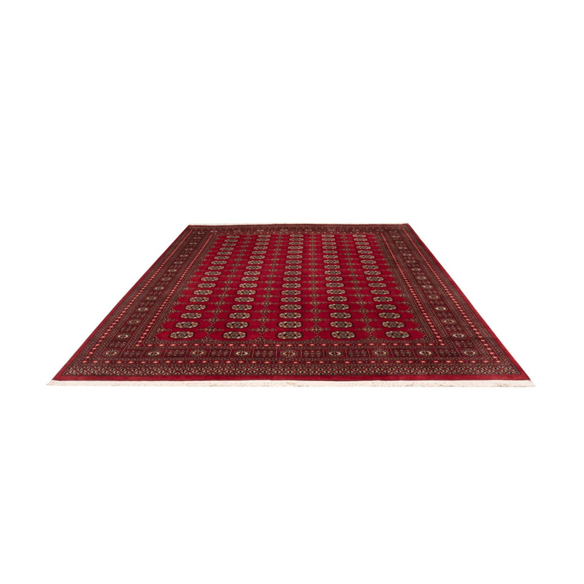 Alfombra afgana - Bukhara - 308 x 243 cm - rojo