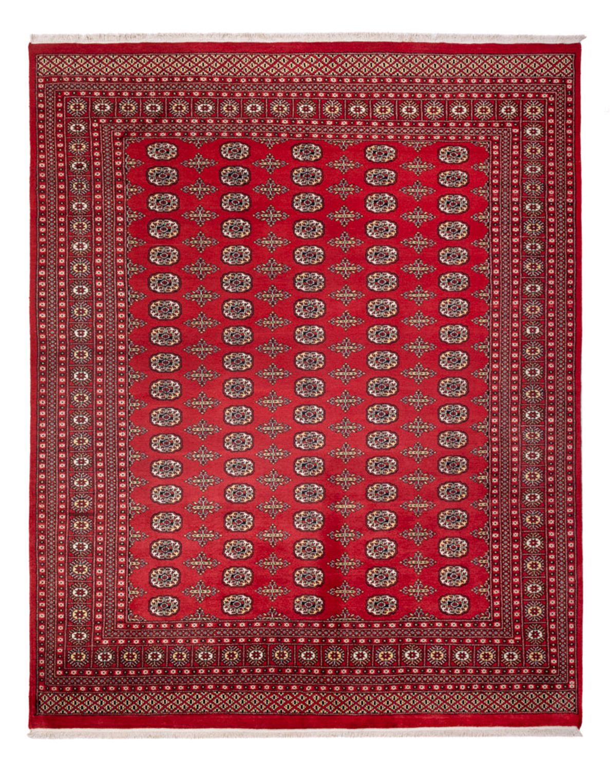 Alfombra afgana - Bukhara - 312 x 244 cm - rojo