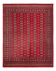 Bujará Alfombra 312x244cm - Alfombra oriental