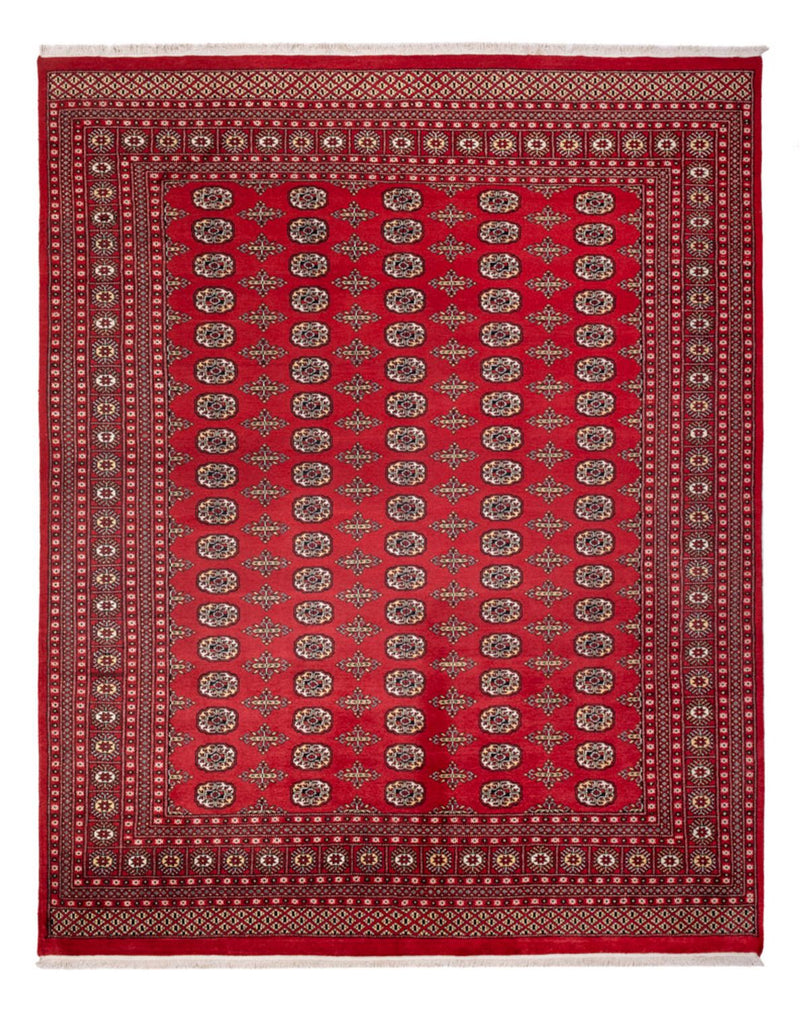 Alfombra afgana - Bukhara - 312 x 244 cm - rojo