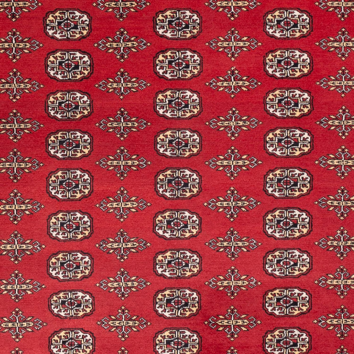 Alfombra afgana - Bukhara - 312 x 244 cm - rojo
