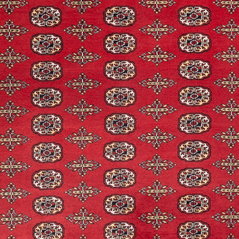 Alfombra afgana - Bukhara - 312 x 244 cm - rojo